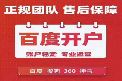 解析sem代运营公司经典案例：如何实现ROI最大化